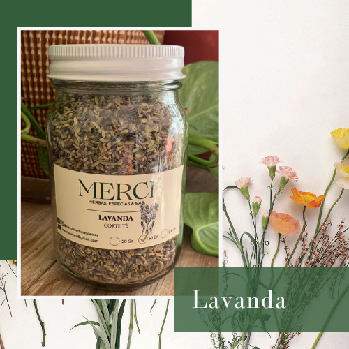 Lavanda