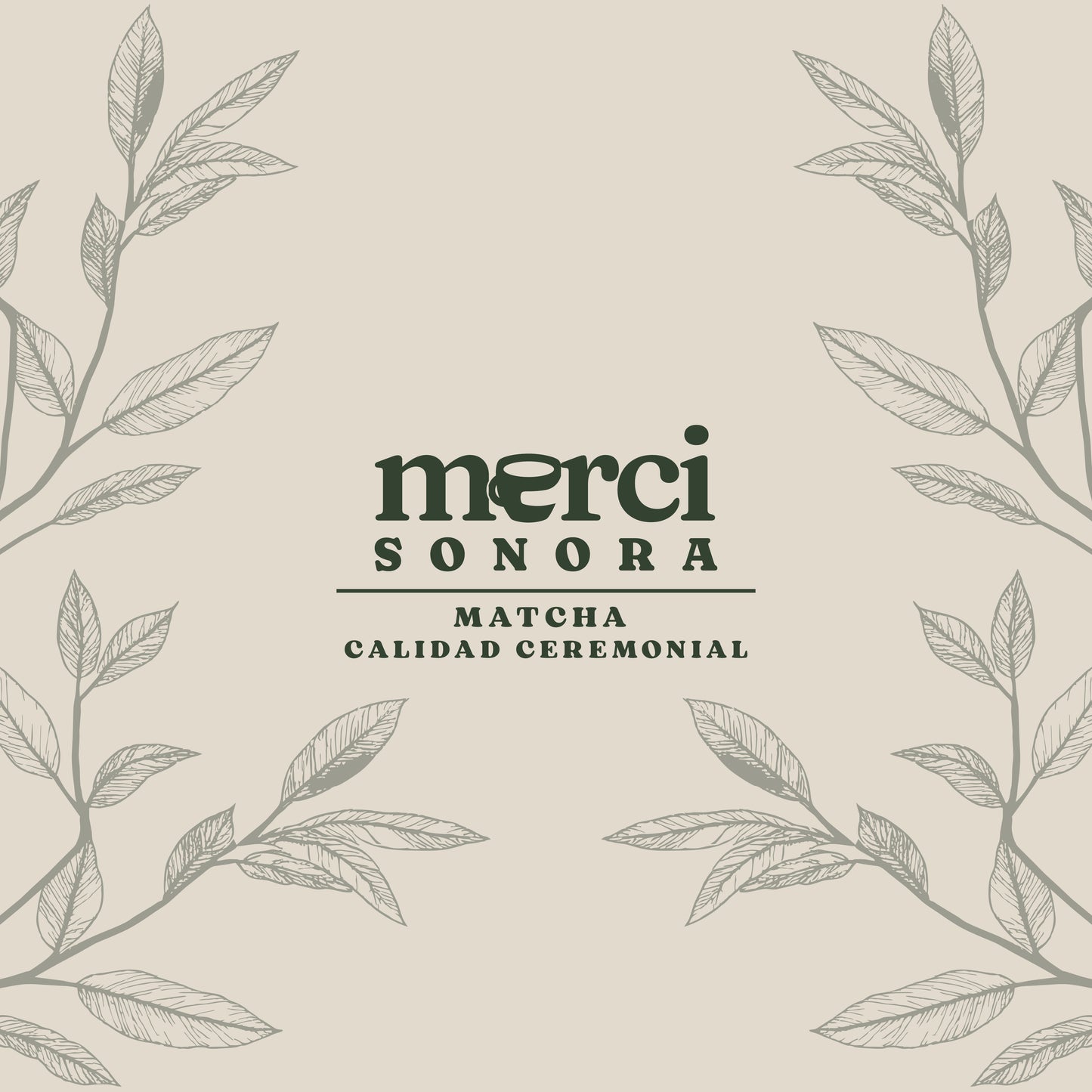 Matcha calidad ceremonial